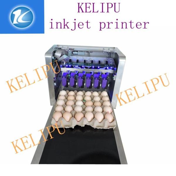 Quality Egg Inkjet Coding Equipment / Continuous Ink System Printer With Six 45ML Ink for sale