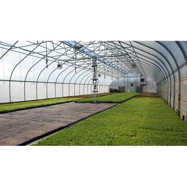 Galvanized Steel Frame PE Film Greenhouse 3.2m High Tunnel Greenhouse