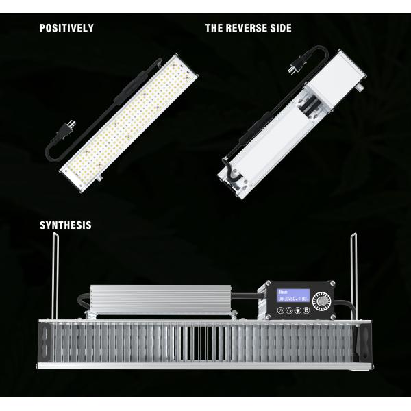 OEM 320w LED Toplighting Grow Light All Year Round Medical Plant Growing Lights