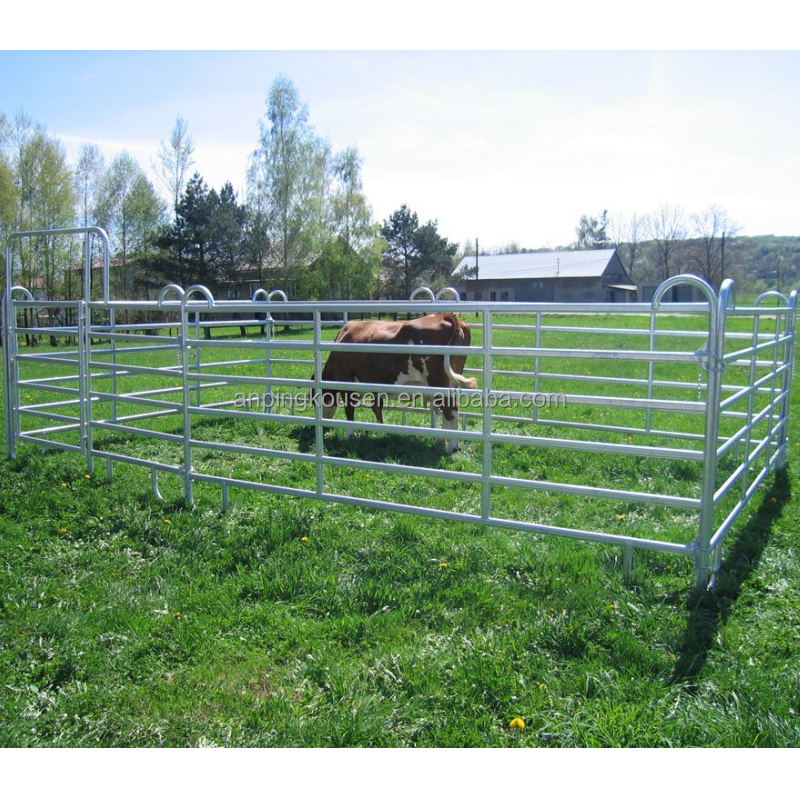 Pressure Treated Timbers Chicken Fencing for Chicken Coops in Commercial Chicken Farms