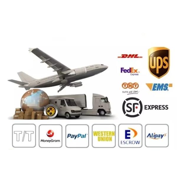 Y-Z Pet Tops Bear Dog's Ear Hood Designer Winter Knitted Snood Large Dog Clothes Hat