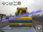 Inflatable Water Slide For Amusement Park / Inflatable Pool Slide
