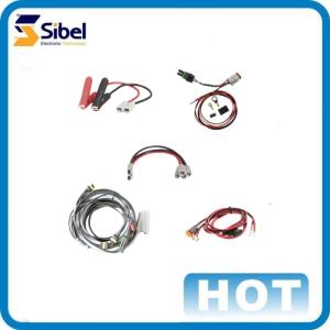 Customized Rohs compliant Automobile Wire Harness assembly wiring harness under
