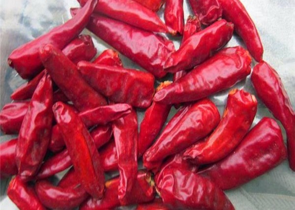 Stemless Dried Red Bullet Chilli Round 12% Moisture 4 - 7cm