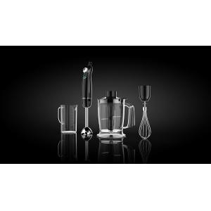 HB107 Stick Food Blender