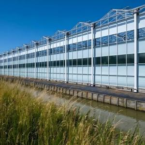 Large - Scale Venlo Glass Greenhouse for Melon Farming