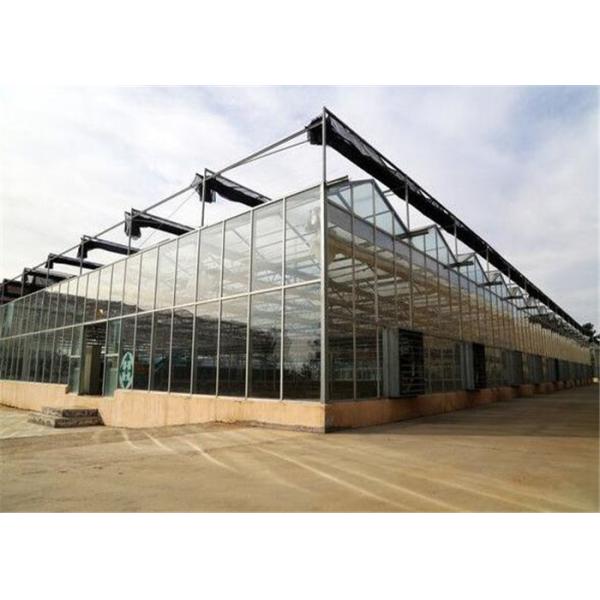 Modern Design Agricultural Glass Greenhouse 3m - 6m Side Height Long Service Life
