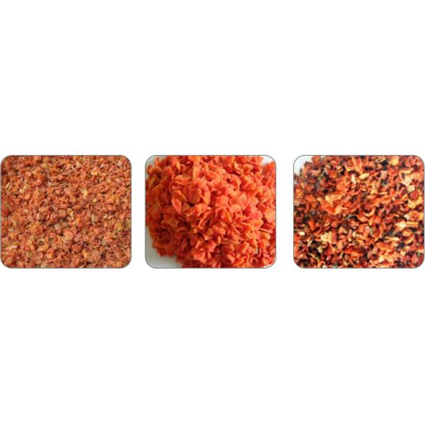 Dehydrated Carrot Sorting Machine Automatic Fault Detection 2.0 t/h 2 Layers