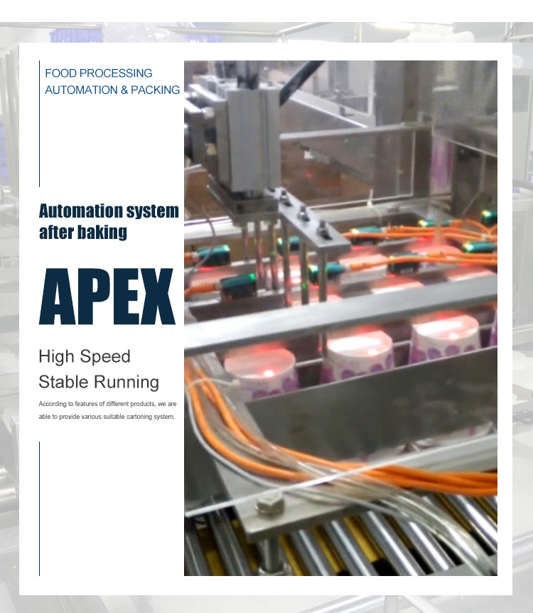 Easy Control Food Box Automatic Packing Machinery With Product Aligning