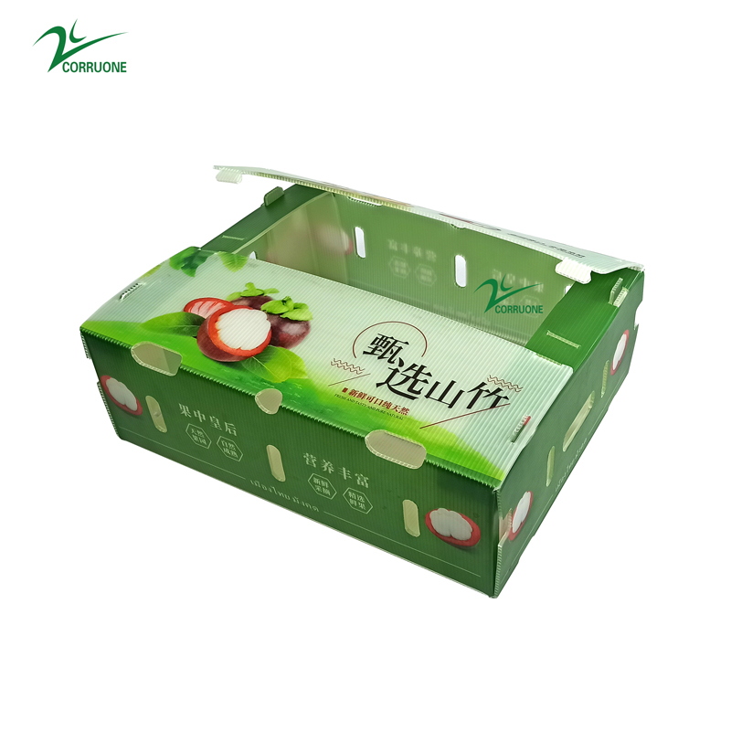 Green Polypropylene Correx Board Con Pearl PP Honeycomb Board