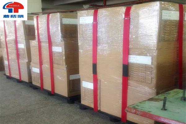 Quality 50mm*6M Nylon Pallet Strap Adjustable Hook Loop With Buckle Durable For Logistic for sale