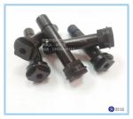 Gilded Non Standard Cold Headed Fastener ODM Available