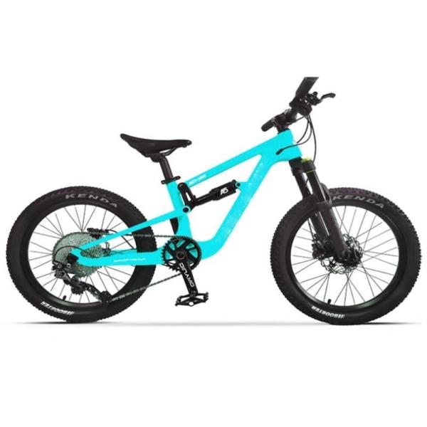 Full Suspension Carbon EPS Technology MTB Mountain Childrens Bikes 20er