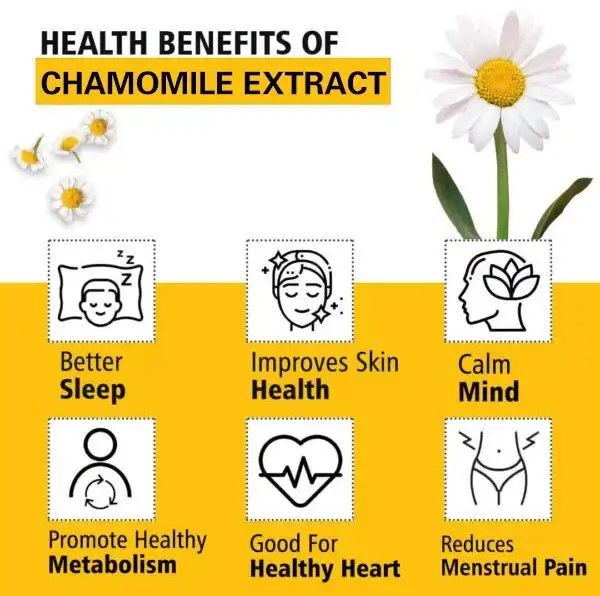 chamomile extract powder benefits Chamomile Extract Powder 0.5%-98% Apigenin