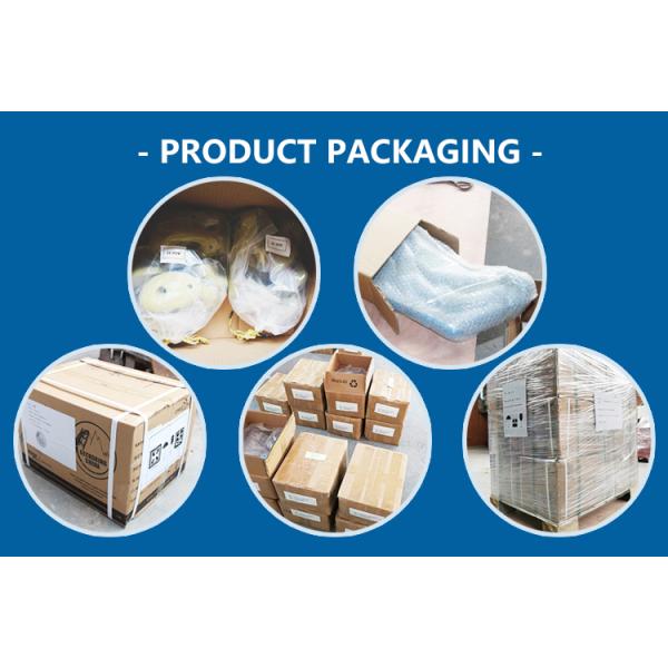 NO Inflatable Gecko King Outdoor/Indoor Rock Climbing Holds for School Climbing Walls