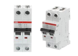 China S202-C100 2CDS252001R0824 Miniature Circuit Breakers MCBs 6kA 100A 2P wholesale