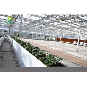 China Automatic Pipe Soilless Cultivation Equipment Generous Tube Hydroponic Tomato Planter wholesale