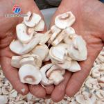 Mushroom slicer Shiitake mushrooms Cutting processing production Machine