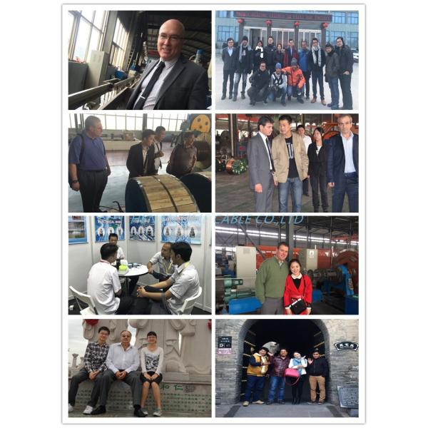 6201 Bare All Aluminum Alloy Conductor AAAC Electric Electrical Cable 25mm2 50mm2 70mm2 95mm2 120mm2 150mm2 240mm2 Power Cable