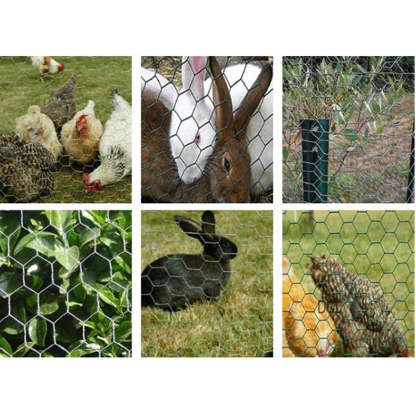 Hexagonal Hot Dip Galvanised 6ft Tall Chicken Wire Mesh For Bird Cage