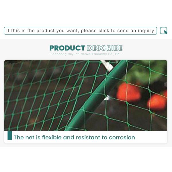 factory price pe farm plastic nets garden orchard anti bird net