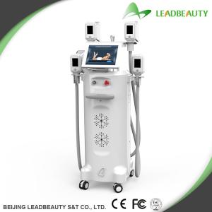 China Body shaping fat reduce cryolipolysis body slimming machine wholesale