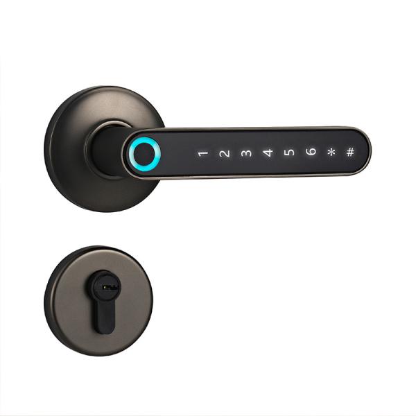 Quality F2 Smart Fingerprint Handle Locks for sale
