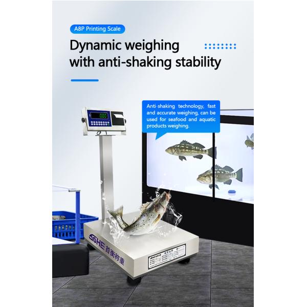 A8SP 60cm*80cm All Stainless Steel Square Pole Printing Industrial Platform Scale