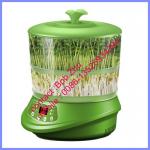 China small bean sprout growing machine, home bean sprout growing machine for sale