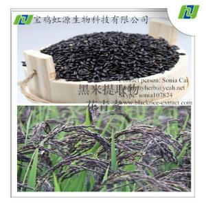 China Hot Selling Black Rice Extract Powder in 2015 wholesale