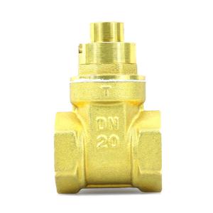 6 Inch Sluice Gate Valve PN40 Bellow Seal Gate Valve Brass Magnetic Lock DN20