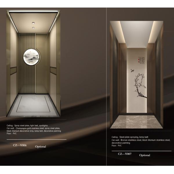 Small Traction Type Home Monarch Villa Lift Stainless Steel Private Building Elevator