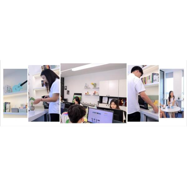 Regular Spangle Gi Coil Sheet Dx51 Steel Coils Dx51 Z275 Gi Coil