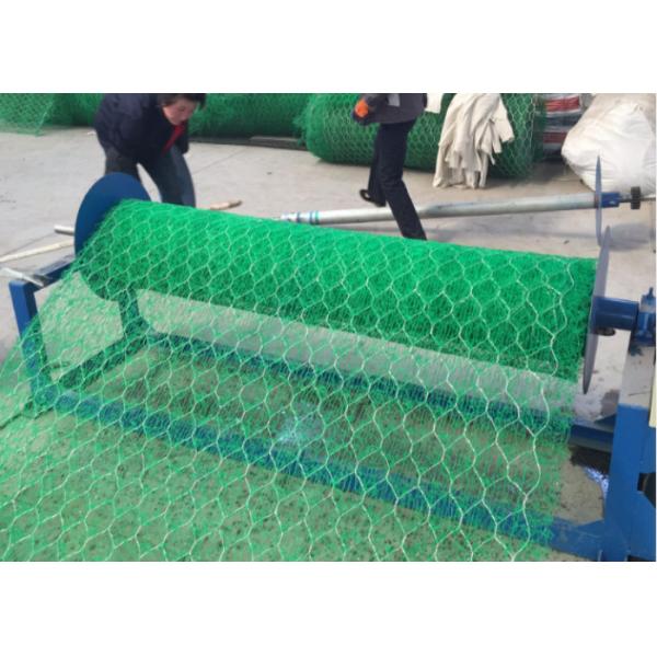 Highway Embankment 5.0mm 60x80mm reinforced galvanized Mike mat