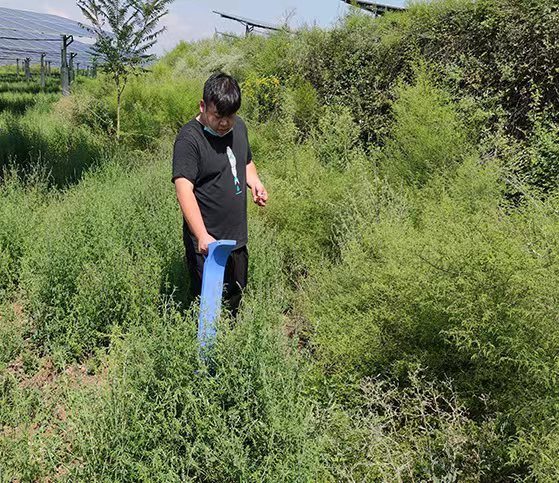 Factory Cable Fault Locating Equipment Trolley Three Voltage High Voltage Surge Generator