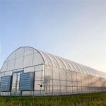 China Polytunnel Plastic Film Greenhouse For Growing Strawberry Vegetables Flowers Fruits wholesale