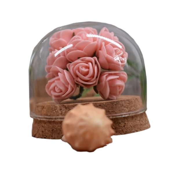 Quality ISO9001 Small Borosilicate Glass Dome Cork Base Eco Friendly for sale