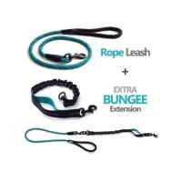 China Anti Pull Shock Absorbing Nylon Dog Leash No Slip Reflective Outside Lightweight for sale