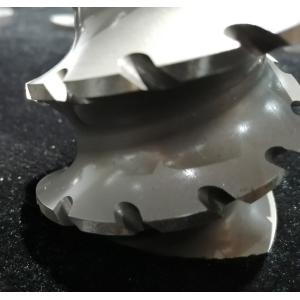 Screw Segments And Kneading Block For Petrochemical