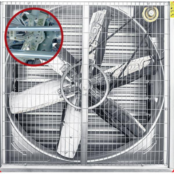 Negative Pressure Cooling Equipment Greenhouse 1000 Cfm 5000 Cfm 50 Inch Exhaust Fan