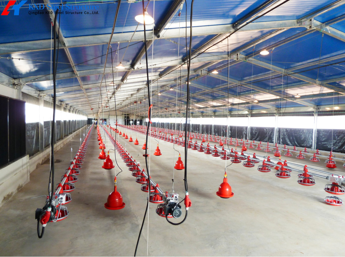 Fully Automatic Galvanized Poultry Farm Layer Cage with Feeding System