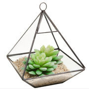 China 2016 new hanging clear glass prism air plant terrarium tabletop succulent plants holder wholesale