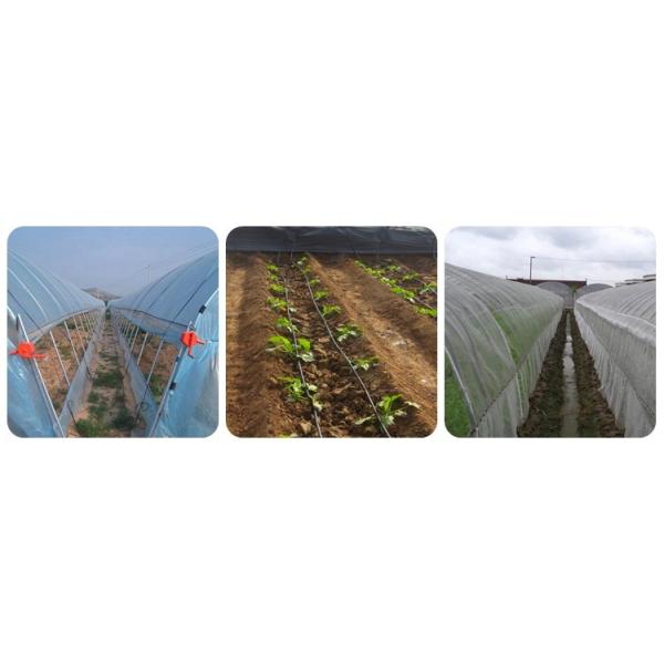 Film Covered Agricultural Tunnel Greenhouse for Growing Vegetables Fruits and Flowers