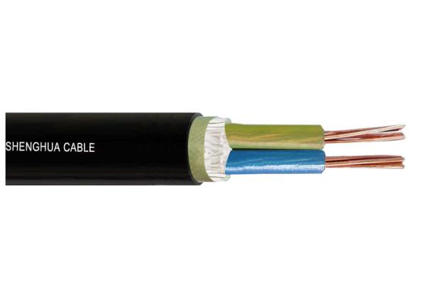 Quality Low voltage 0.6/1kV XLPE Insulated  Power cable IEC standard Two Cores for sale