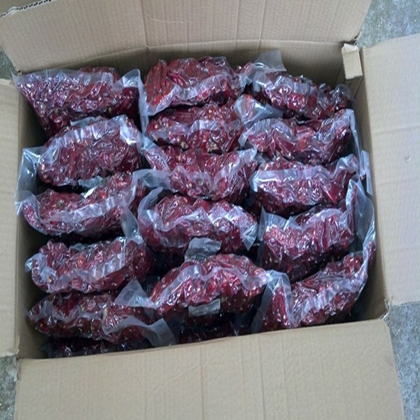 No Pigment Erjingtiao Dried Chilis 16CM Red Stemmed Dehydrating 8000SHU