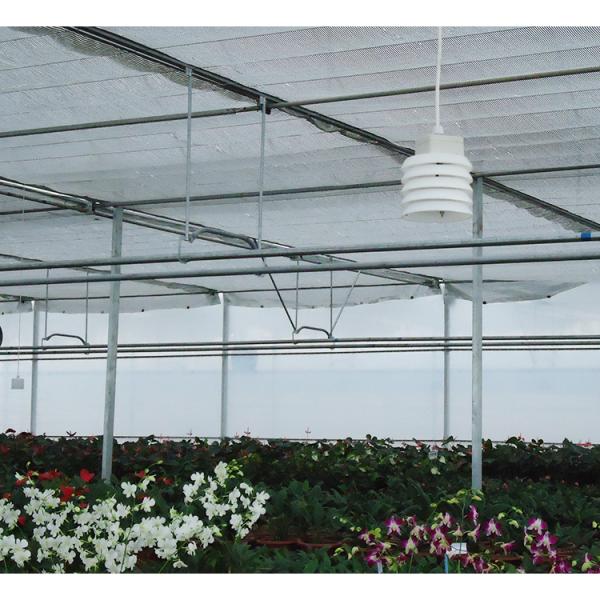 Large Multi Span Greenhouse 200micron Plastic Film Greenhouse For Vegetables And Flowers