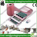 Location fix pacakge EPE Foam Sheet Extrusion Plant(FCFPM-105)