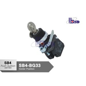 Professional Electrical Selector Key Switch ROHS And UL Certified