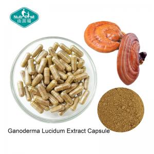 China Ganoderma Lucidum Reishi Mushroom Capsules with Vegetarian Capsule for Healthy Heart on sale