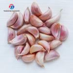 Garlic splitting machine minced garlic processing production Line